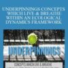 Emergence UNDERPINNINGS CONCEPTS WHICH LIVE BREATHE WITHIN AN ECOLOGICAL DYNAMICS FRAMEWORK 250x343 1 » Courses[GB]