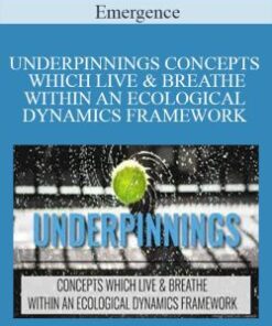 Emergence – UNDERPINNINGS CONCEPTS WHICH LIVE & BREATHE WITHIN AN ECOLOGICAL DYNAMICS FRAMEWORK