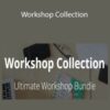 Erin Flynn Workshop Collection 250x343 1 » Courses[GB]