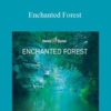 Hemi-Sync – Enchanted Forest