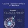 Hemi Sync Gateway ExperienceC2AE Wave III Freedom 250x343 1 » Courses[GB]