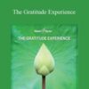 Hemi Sync The Gratitude Experience 250x343 1 » Courses[GB]