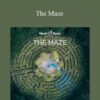 Hemi Sync The Maze 250x343 1 » Courses[GB]