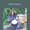 Hemi Sync Tribal Journeys 250x343 1 » Courses[GB]