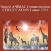 Inner Spirit Natural ANIMAL Communication CERTIFICATION Course 2022 250x343 1 » Courses[GB]