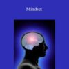 Jay Abraham Mindset 250x343 1 » Courses[GB]
