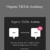 Jimmy Farley Organic TikTok Academy 250x343 1 » Courses[GB]