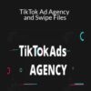 Joel Kaplan TikTok Ad Agency and Swipe Files 250x343 1 » Courses[GB]