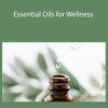 Lisa Powers Essential Oils for Wellness 250x343 1 » Courses[GB]