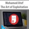 Mohamed Atef E28093 The Art of Exploitation 250x321 1 » Courses[GB]