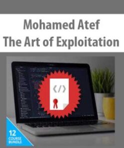 [Download Now] Mohamed Atef – The Art of Exploitation