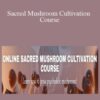 Oliver Merivee and Jasper Degenaars Sacred Mushroom Cultivation Course 250x343 1 » Courses[GB]