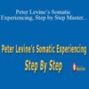 Peter A. Levine – Peter Levine’s Somatic Experiencing, Step by Step Master the body-oriented approach to trauma and stress disorders