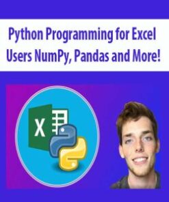 Python Programming for Excel Users NumPy; Pandas and More!