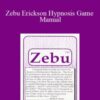 Robert Anue Zebu Erickson Hypnosis Game Manual 250x343 1 » Courses[GB]