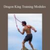 Rokas Dragon King Training Modules 250x343 1 » Courses[GB]
