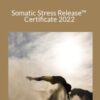 Scott Lyons Somatic Stress ReleaseE284A2 Certificate 2022 250x343 1 » Courses[GB]