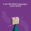 Sean Anthony Cash Windfall Campaigns June 2023 250x343 1 » Courses[GB]