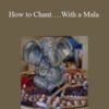 Sixty Skills How to ChantE280A6.With a Mala 250x343 1 » Courses[GB]