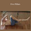 Steve Maxwell Five Pillars 250x343 1 » Courses[GB]