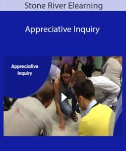 Stone River Elearning – Appreciative Inquiry