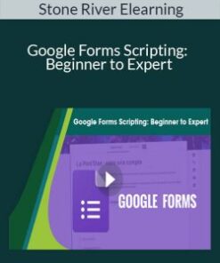 Stone River Elearning – Google Forms Scripting: Beginner to Expert