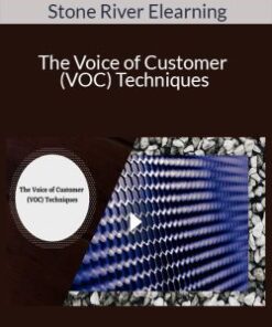 Stone River Elearning – The Voice of Customer (VOC) Techniques