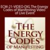 Sue Morter – ECM-21-VIDEO-DIG The Energy Codes of Manifesting – Video of Live Event