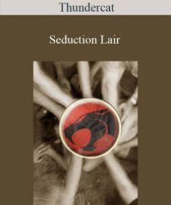 Thundercat – Seduction Lair
