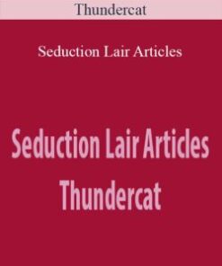 Thundercat – Seduction Lair Articles