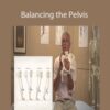 Tom Myers Balancing the Pelvis 250x343 1 » Courses[GB]
