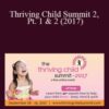 V.A Thriving Child Summit 2 Pt. 1 2 2017 250x343 1 » Courses[GB]