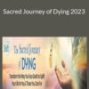 William Bloom Sacred Journey of Dying 2023 250x343 1 » Courses[GB]