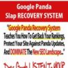 Google Panda Slap RECOVERY SYSTEM