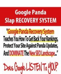 Google Panda Slap RECOVERY SYSTEM