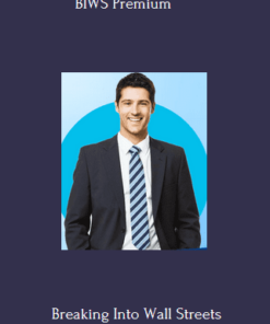 BIWS Premium (Excel & VBA + Financial Modeling Mastery + PowerPoint Pro) - Break Into Wall Street