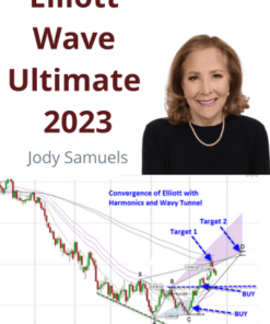 Elliott Wave Ultimate 2023 Program by Jody Samuels