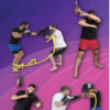 Mastering the Maize Ball Workout By Firas Zahabi » Courses[GB]
