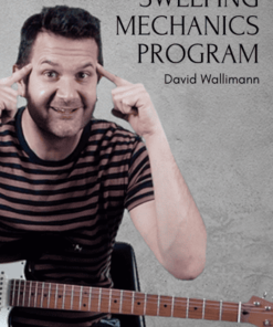 SWEEPING MECHANICS PROGRAM by David Wallimann