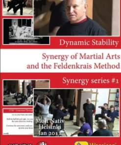 Synergy of Martial Arts and the Feldenkrais Method By Dynamic Stability