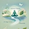 The 21 Day Conscious Cleanse By Dr. Shefali amp Suzi Lula » Courses[GB]