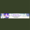 Robert Moss – Shamanic Lucid Dreaming 2022