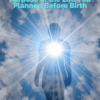 Awakening to the Spiritual Purpose of the Life You Planned Before Birth Rob Schwartz » Courses[GB]