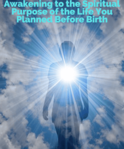 Awakening to the Spiritual Purpose of the Life You Planned Before Birth - Rob Schwartz