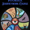Psychedelic Journeywork Course - Julian Vayne