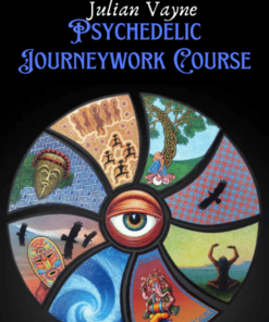 Psychedelic Journeywork Course - Julian Vayne